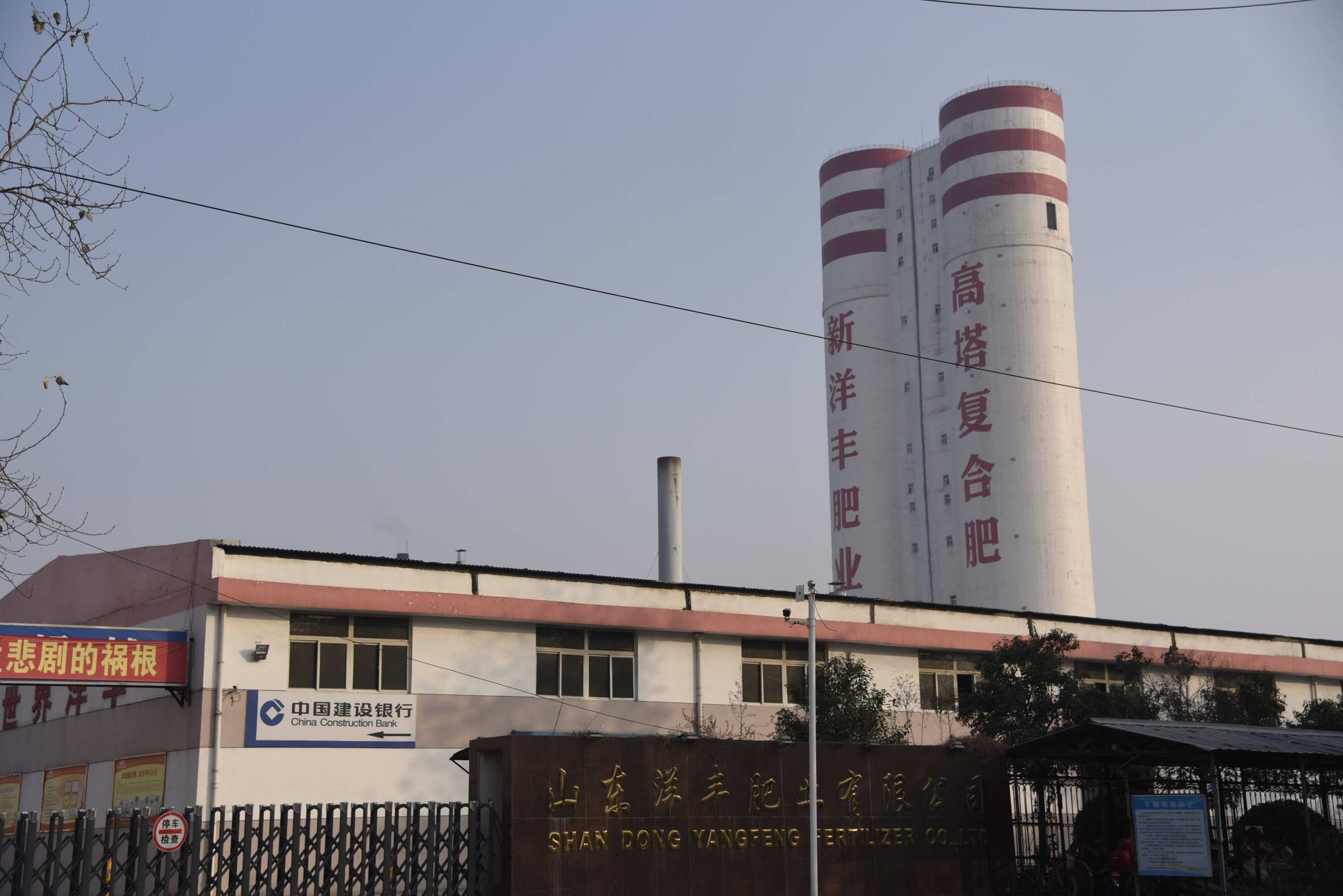 山東洋豐肥業